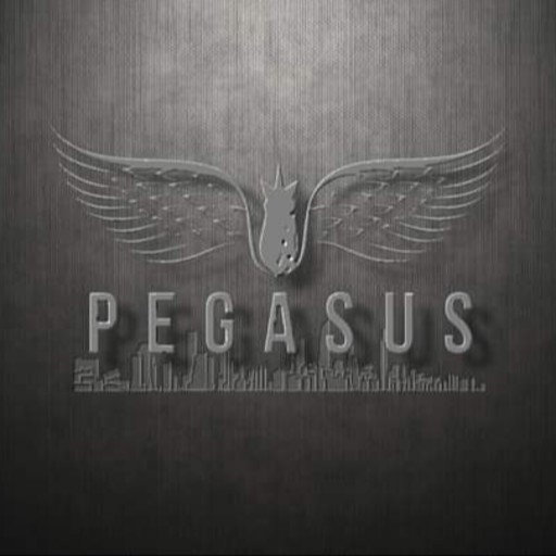 Pegasus Real Estate