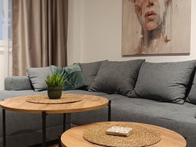 Skopje Gazi Baba Avtokomanda, 1 Rooms, 47 m² Luxury Furnished Apartment - For Rent | Photo 6