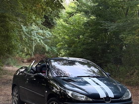 2002 Model Peugeot 206 LPG Manual Transmission Cabriolet 261,000 km - For Sale | Photo 6