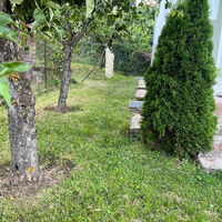 House for Sale in Negotino – 5 rooms 300 m² 60.000 € | 04.02.2026 | Photo 4