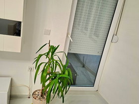 Struga, 4 Rooms, 100 m² Furnished Apartment - For Rent | Photo 4