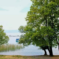 Ohri: 2 oda 60 m² Eşyalı Apartman Dairesi - Satılık