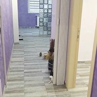 Flat for Rent in Skopje Aerodrom – 3 rooms 54 m² 300 € | 22.03.2026 | Photo 7