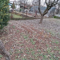 Üsküp Gazi Baba Satılık Ev – 3 oda 128 m² 72.000 € | 01.04.2026 | Fotoğraf 4