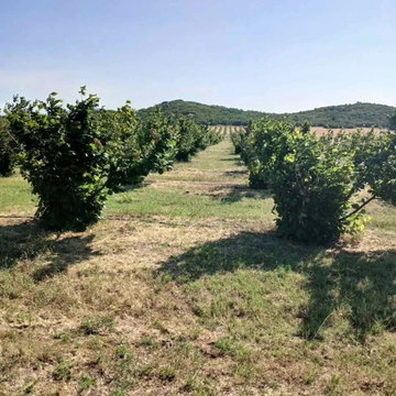 Gevgeli Satılık Dükkan – 5 oda 360 m² 61.000 € | 02.04.2026 | Fotoğraf 1