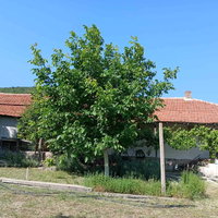 Gevgeli Satılık Dükkan – 5 oda 360 m² 61.000 € | 02.04.2026 | Fotoğraf 3