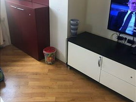 Üsküp Karpoş Taftalidze 1, 2 Oda, 42 m² Eşyalı Apartman Dairesi - Kiralık | Fotoğraf 7