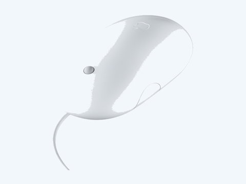 Apple Mouse | Photo 1