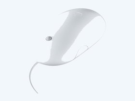 Apple Mouse