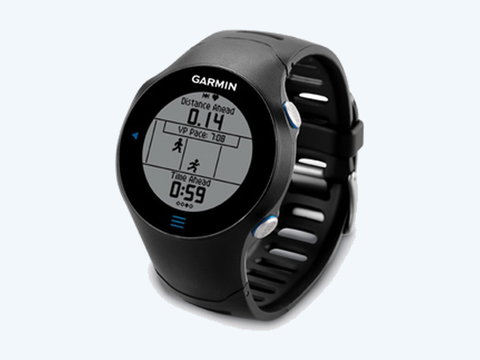 Garmin Forerunner 610 HRM | Photo 1