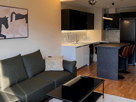 Skopje Centar, 2 Rooms, 50 m² Luxury Furnished Apartment - For Rent | Photo 4